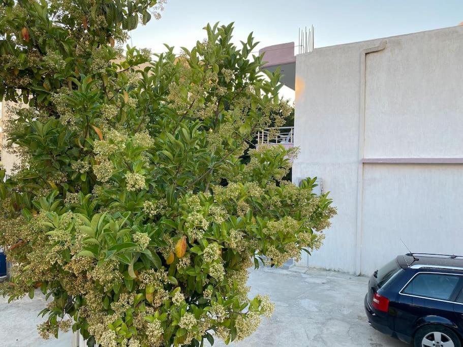 Guesthouse Xhimi Ksamil Zewnętrze zdjęcie