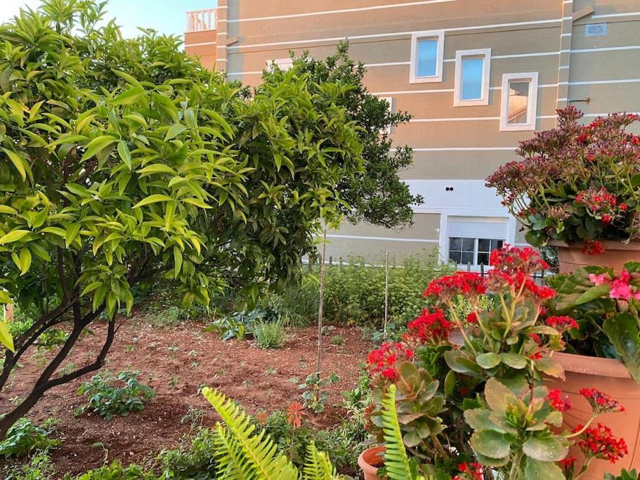 Guesthouse Xhimi Ksamil Zewnętrze zdjęcie